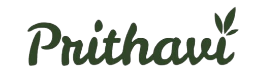 prithavi.com