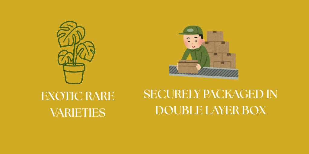 Untitled design (25)