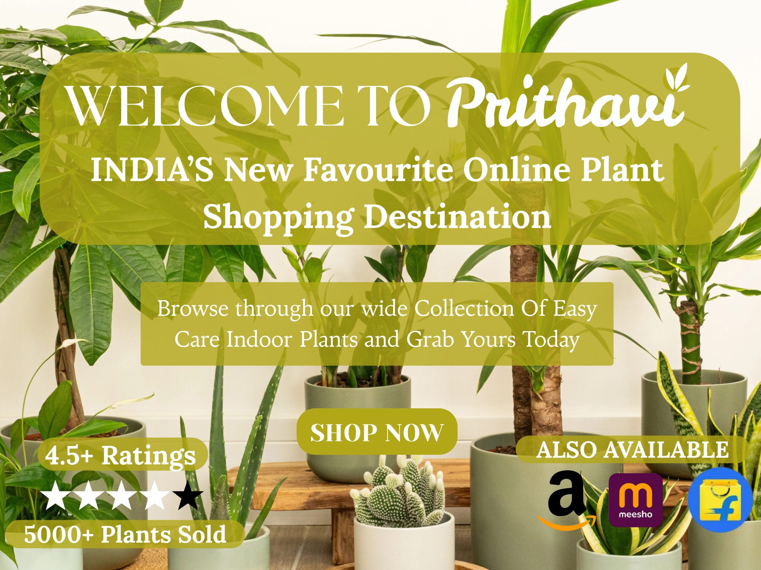 Untitled design (26)